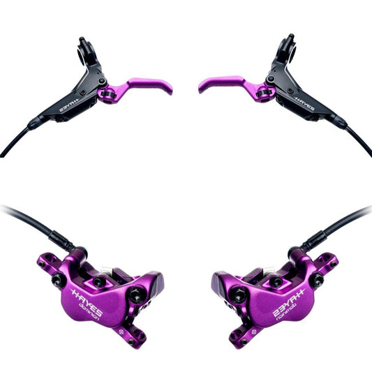 Hayes Dominion A4 Purple Limited Edition - Set